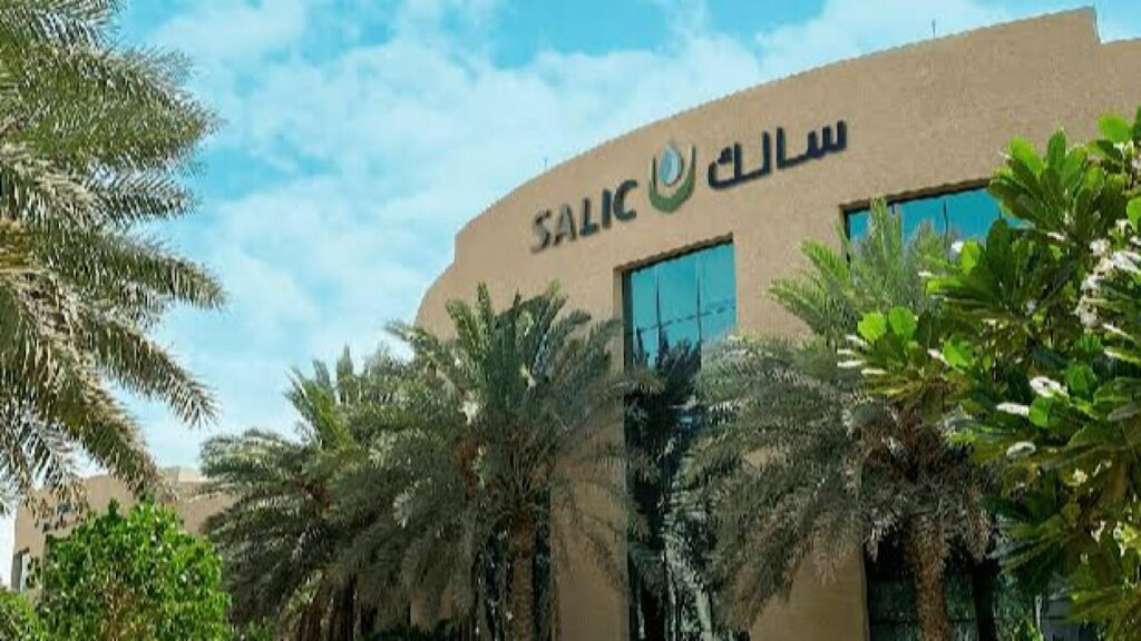 الاستثمار في سالك